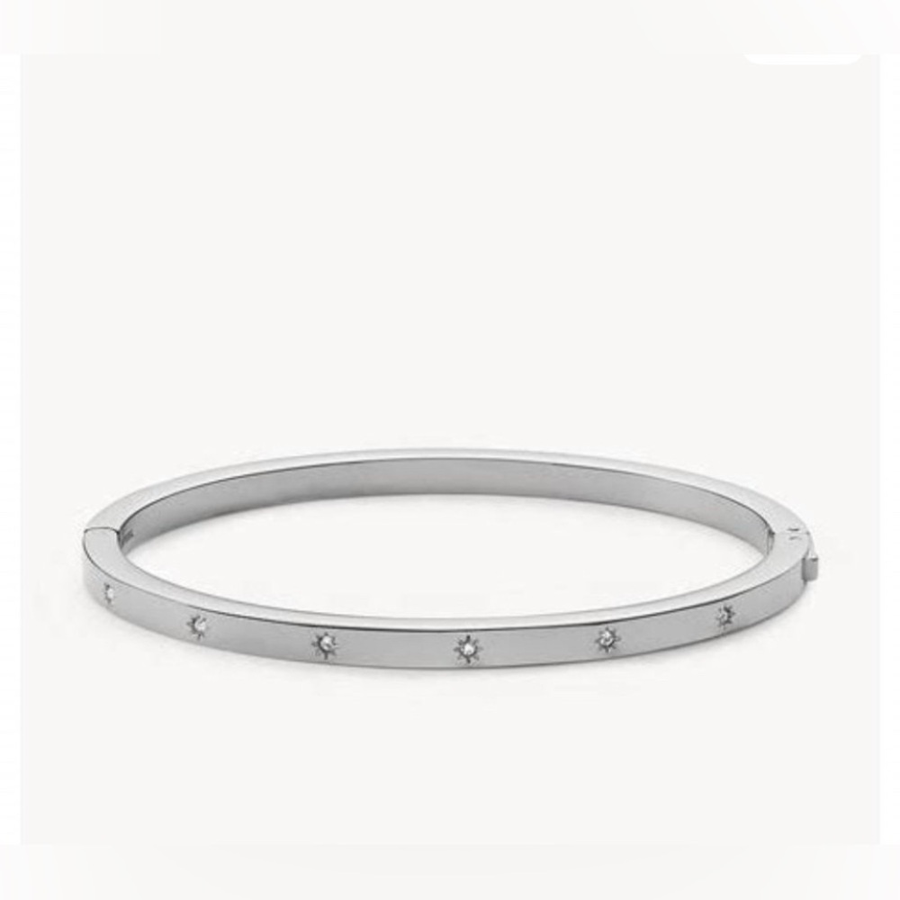 NWOT Fossil Sadie Stainless Steel Shine Bright Bangle Bracelet